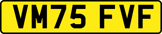VM75FVF