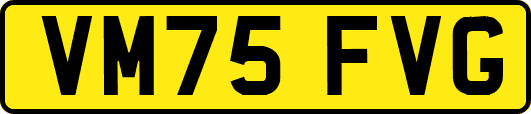 VM75FVG