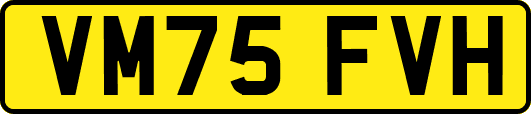 VM75FVH