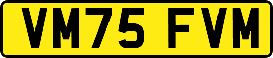 VM75FVM