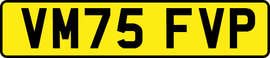 VM75FVP