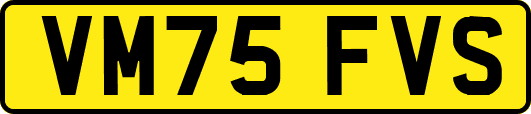 VM75FVS