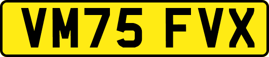 VM75FVX