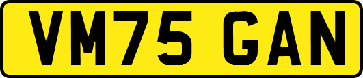 VM75GAN