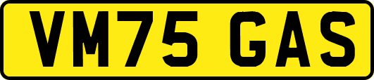 VM75GAS
