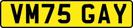 VM75GAY