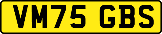 VM75GBS