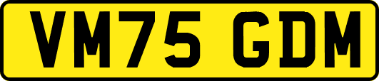 VM75GDM