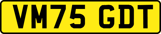 VM75GDT