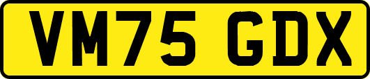 VM75GDX