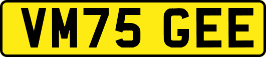 VM75GEE