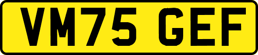 VM75GEF