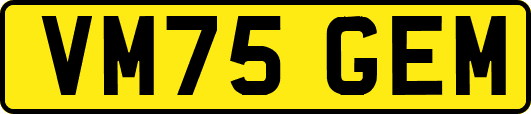 VM75GEM