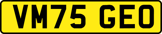 VM75GEO