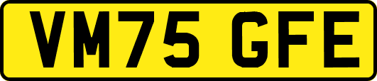 VM75GFE