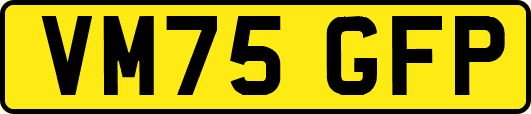 VM75GFP