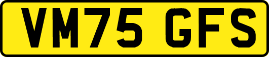 VM75GFS
