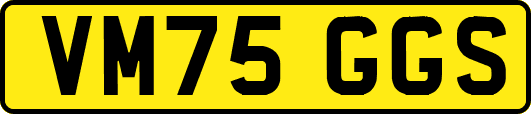 VM75GGS