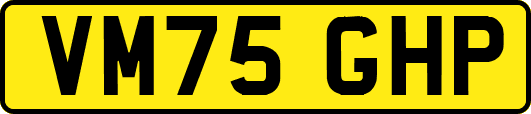 VM75GHP