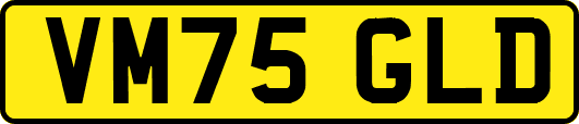 VM75GLD
