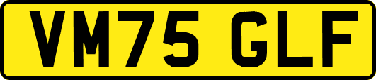 VM75GLF
