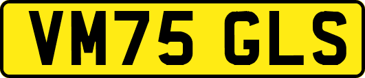 VM75GLS