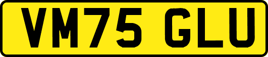 VM75GLU