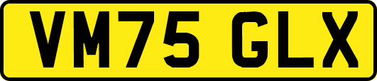 VM75GLX