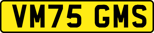 VM75GMS