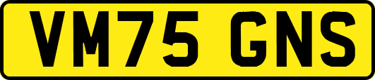 VM75GNS