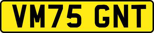 VM75GNT