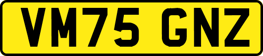 VM75GNZ