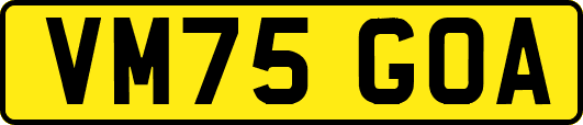VM75GOA