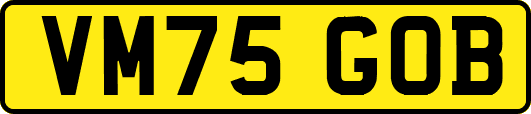 VM75GOB
