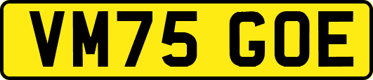 VM75GOE