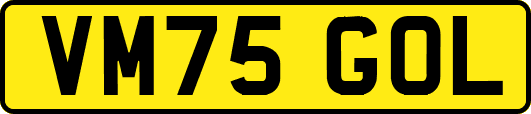 VM75GOL