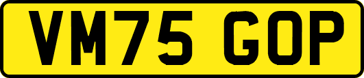 VM75GOP