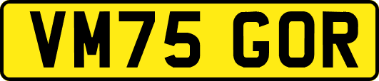 VM75GOR