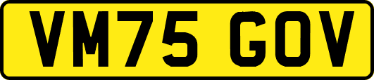 VM75GOV