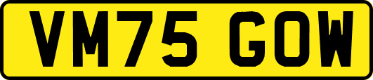 VM75GOW