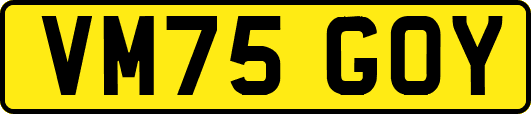 VM75GOY