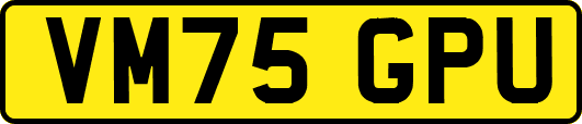 VM75GPU