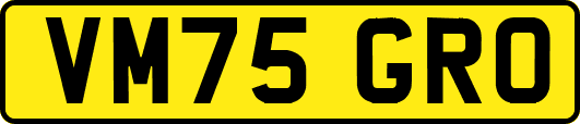 VM75GRO