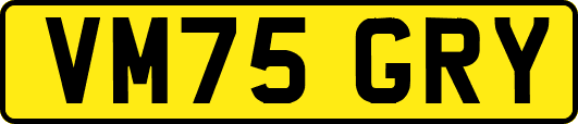 VM75GRY