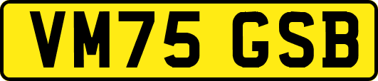 VM75GSB
