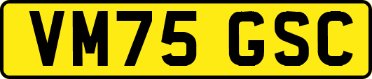 VM75GSC