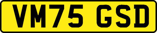 VM75GSD
