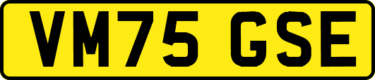 VM75GSE