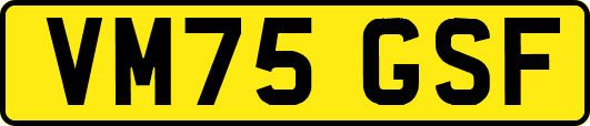 VM75GSF