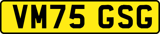 VM75GSG
